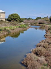 Salines_25_03-3