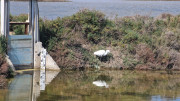 Salines_25_03-43
