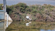 Salines_25_03-44