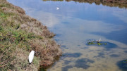 Salines_25_03-47