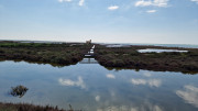 Salines_25_03-54