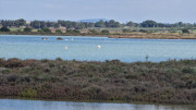 Salines_25_03-58