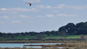 Salines_25_03-59