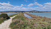 Salines_25_03-65