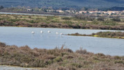 Salines_25_03-68