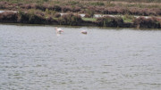 Salines_25_03-69