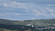 Salines_25_03-71