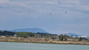 Salines_25_03-73