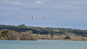 Salines_25_03-78