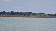 Salines_25_03-81