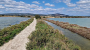 Salines_25_03-82
