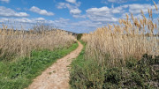 Salines_25_03-84