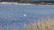 Salines_25_03-87