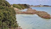 Salines_25_03-88