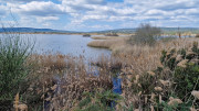 Salines_25_03-92