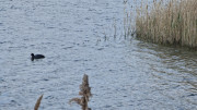 Salines_25_03-93
