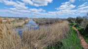 Salines_25_03-94