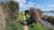 Salines_25_03-95