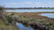 Salines_25_03-97