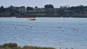 Salines_25_03-98
