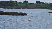 Salines_25_03-99