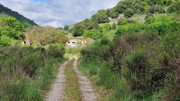 Sorbs_25_05-10