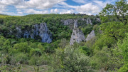 Sorbs_25_05-106