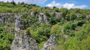 Sorbs_25_05-107