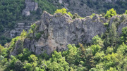 Sorbs_25_05-116