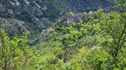 Sorbs_25_05-117