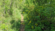 Sorbs_25_05-121