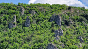 Sorbs_25_05-123