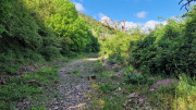 Sorbs_25_05-13