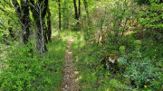 Sorbs_25_05-131