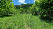 Sorbs_25_05-133
