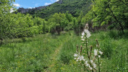 Sorbs_25_05-134