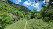 Sorbs_25_05-139