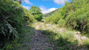Sorbs_25_05-14