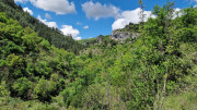 Sorbs_25_05-147