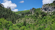Sorbs_25_05-148