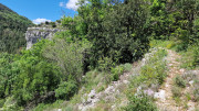 Sorbs_25_05-149