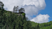 Sorbs_25_05-150