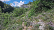 Sorbs_25_05-151