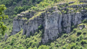 Sorbs_25_05-155