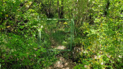 Sorbs_25_05-156