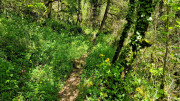 Sorbs_25_05-158