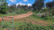 Sorbs_25_05-162