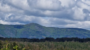 Sorbs_25_05-166