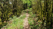 Sorbs_25_05-173