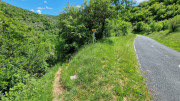 Sorbs_25_05-181